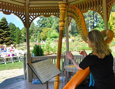 wedding Harp music